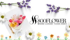 800 Flower