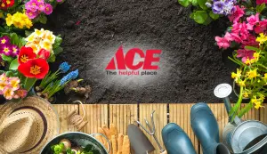 DIY Tools & Garden