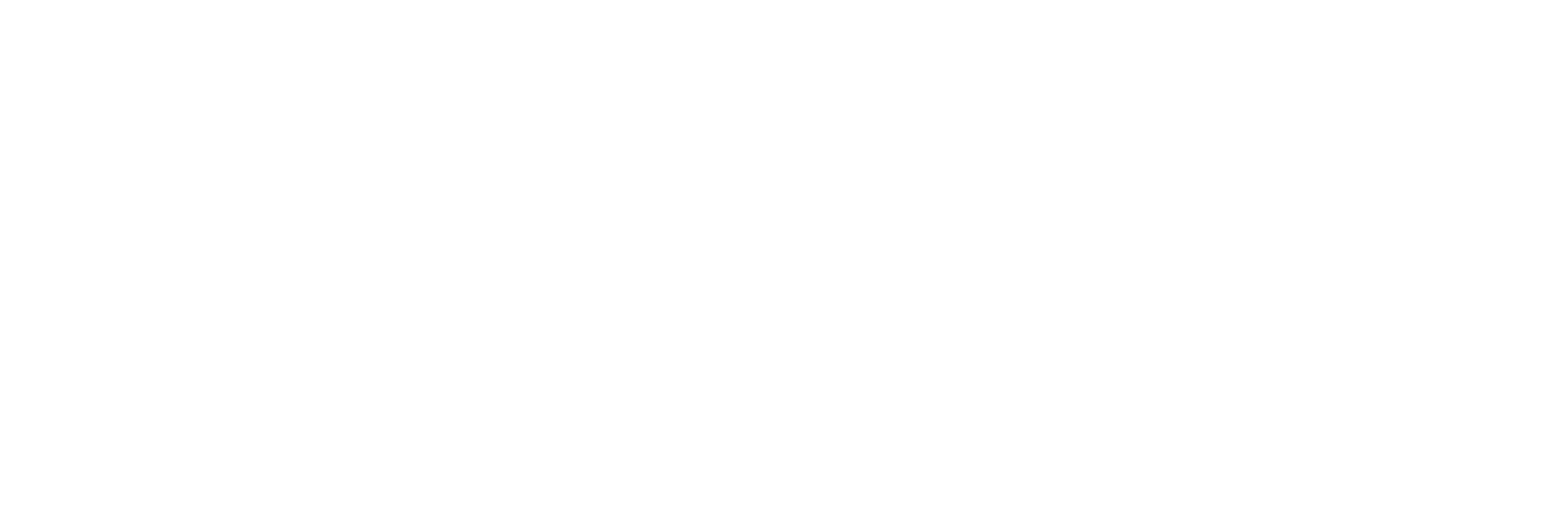 namshi-logo